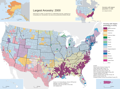 Usa States Large