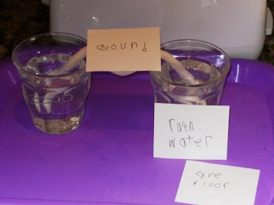 Water Experiments For Kids To Do At Home