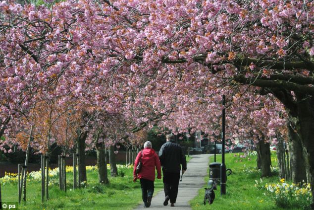 Weather Forecast England May 2013