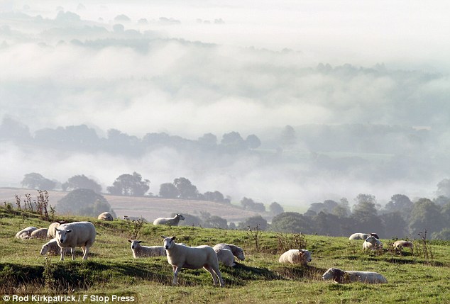 Weather Forecast For This Weekend In Staffordshire