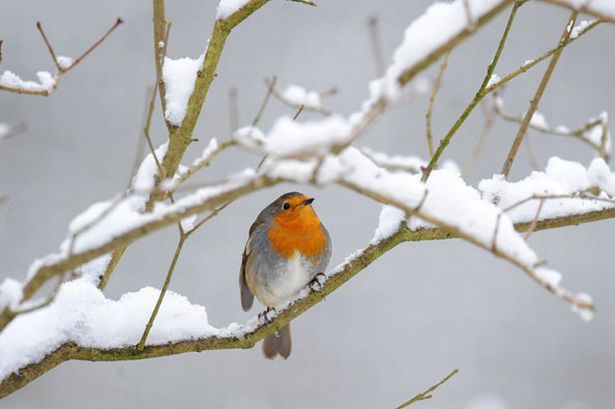 Weather Forecast For This Weekend Uk