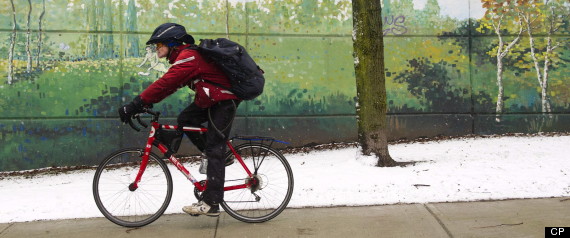 Weather Network Toronto