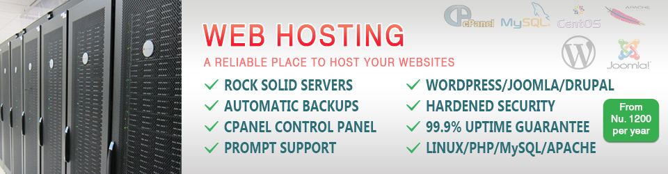 Web Hosting Banner Green