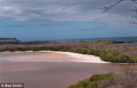 Where Are The Galapagos Islands Located Mastering Biology