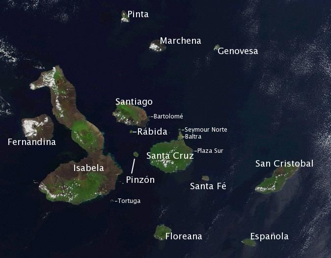 Where Are The Galapagos Islands Situated