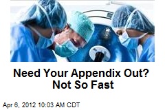 Where Are Your Appendix In Your Body