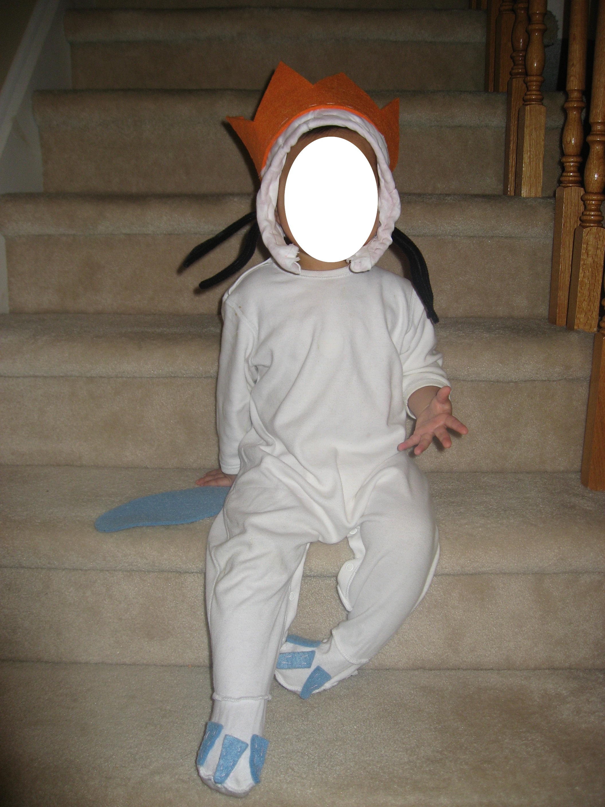 Where The Wild Things Are Max Costume Diy