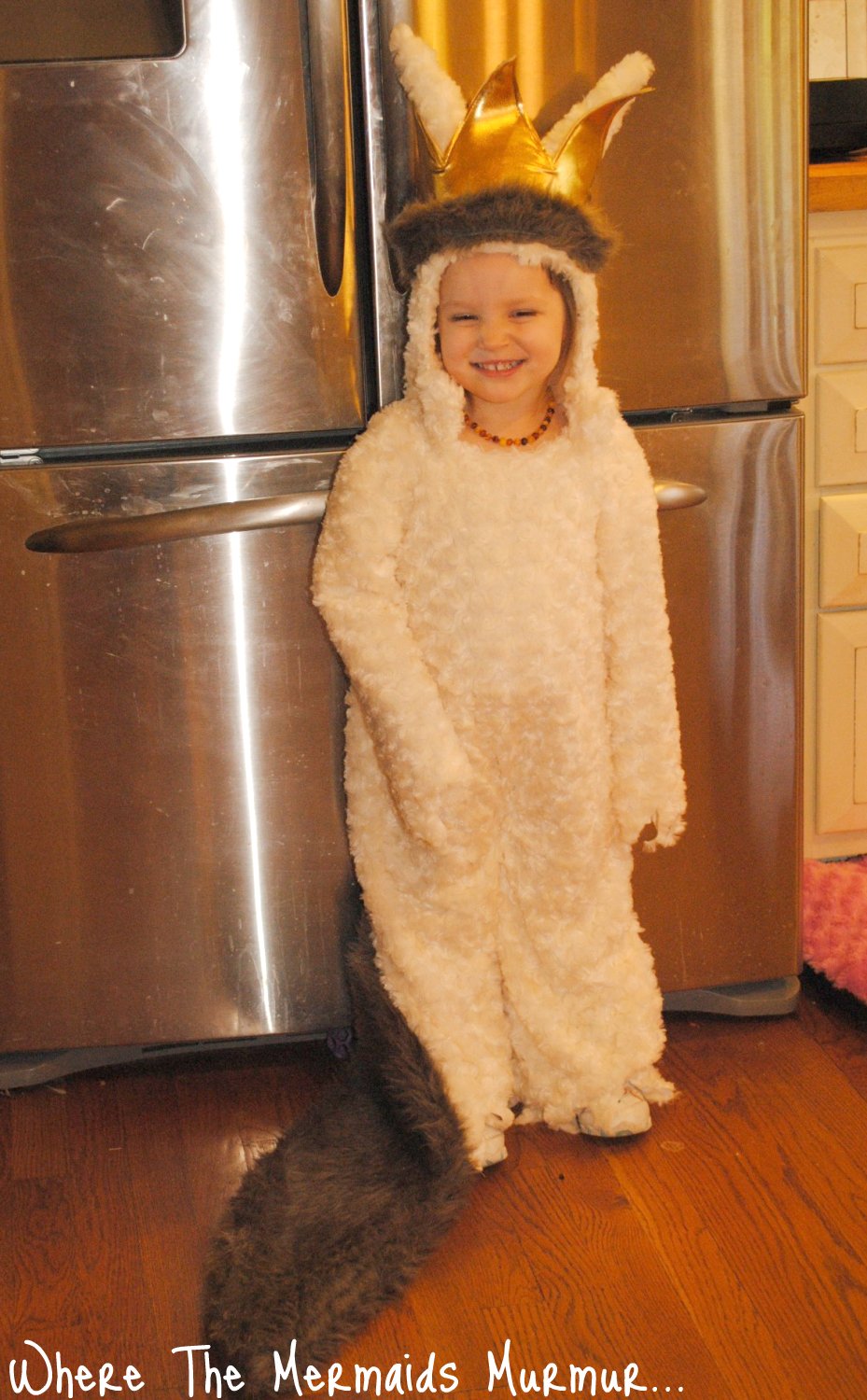 Where The Wild Things Are Max Costume Diy