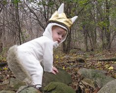 Where The Wild Things Are Max Costume Pottery Barn