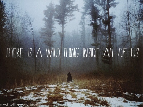 Where The Wild Things Are Quotes