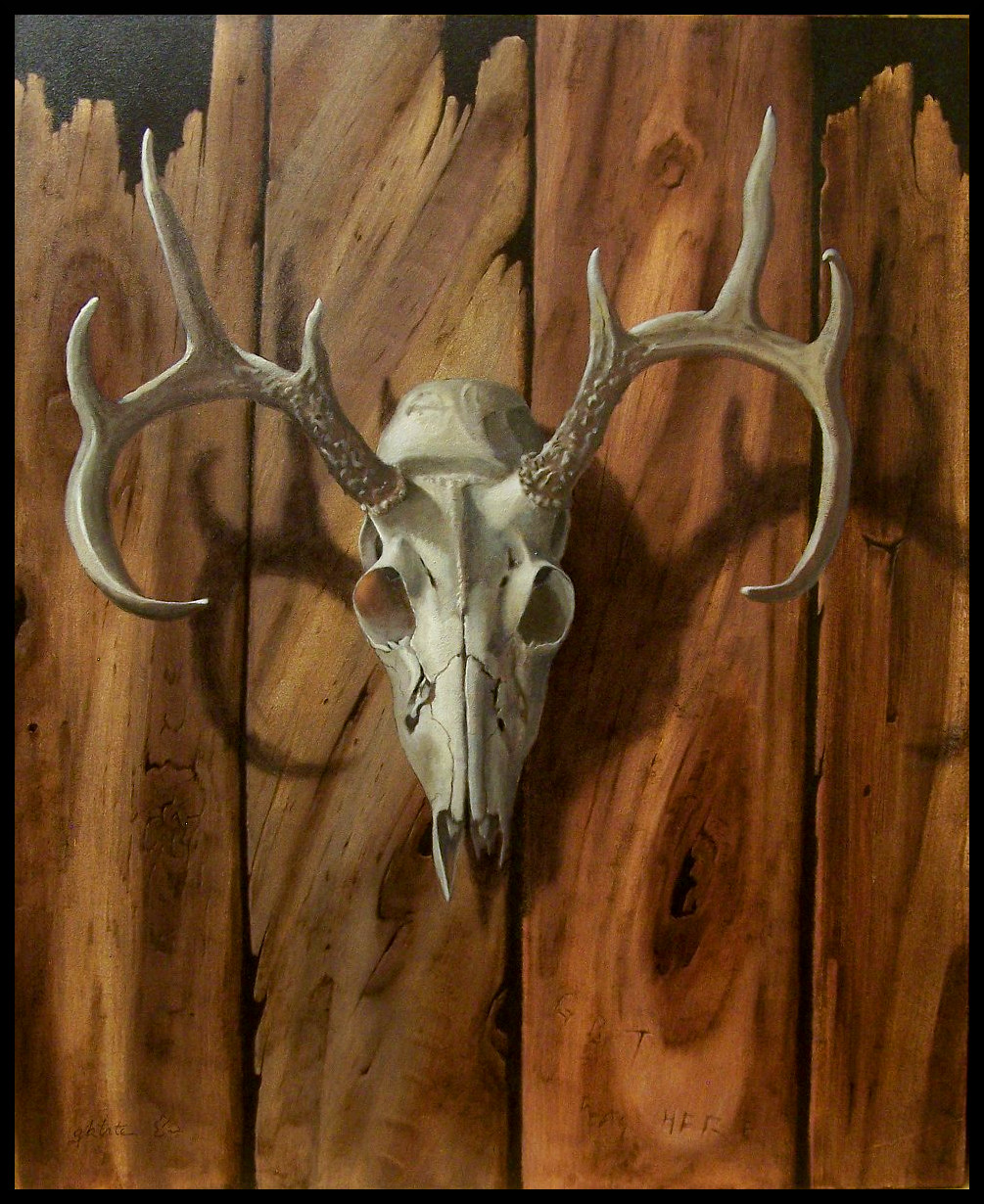 Whitetail Deer Skull Drawings