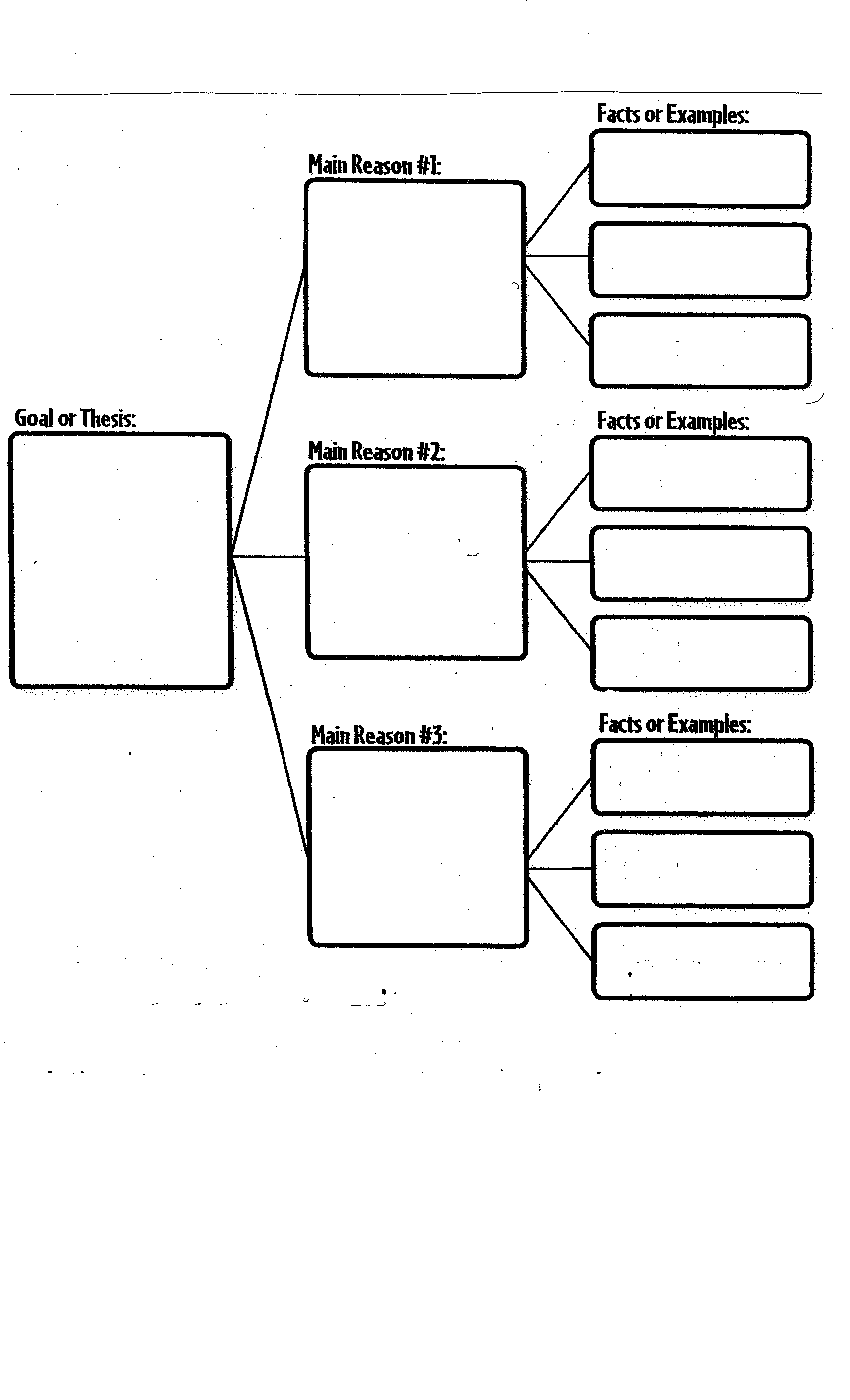 Who What When Where Why Graphic Organizer