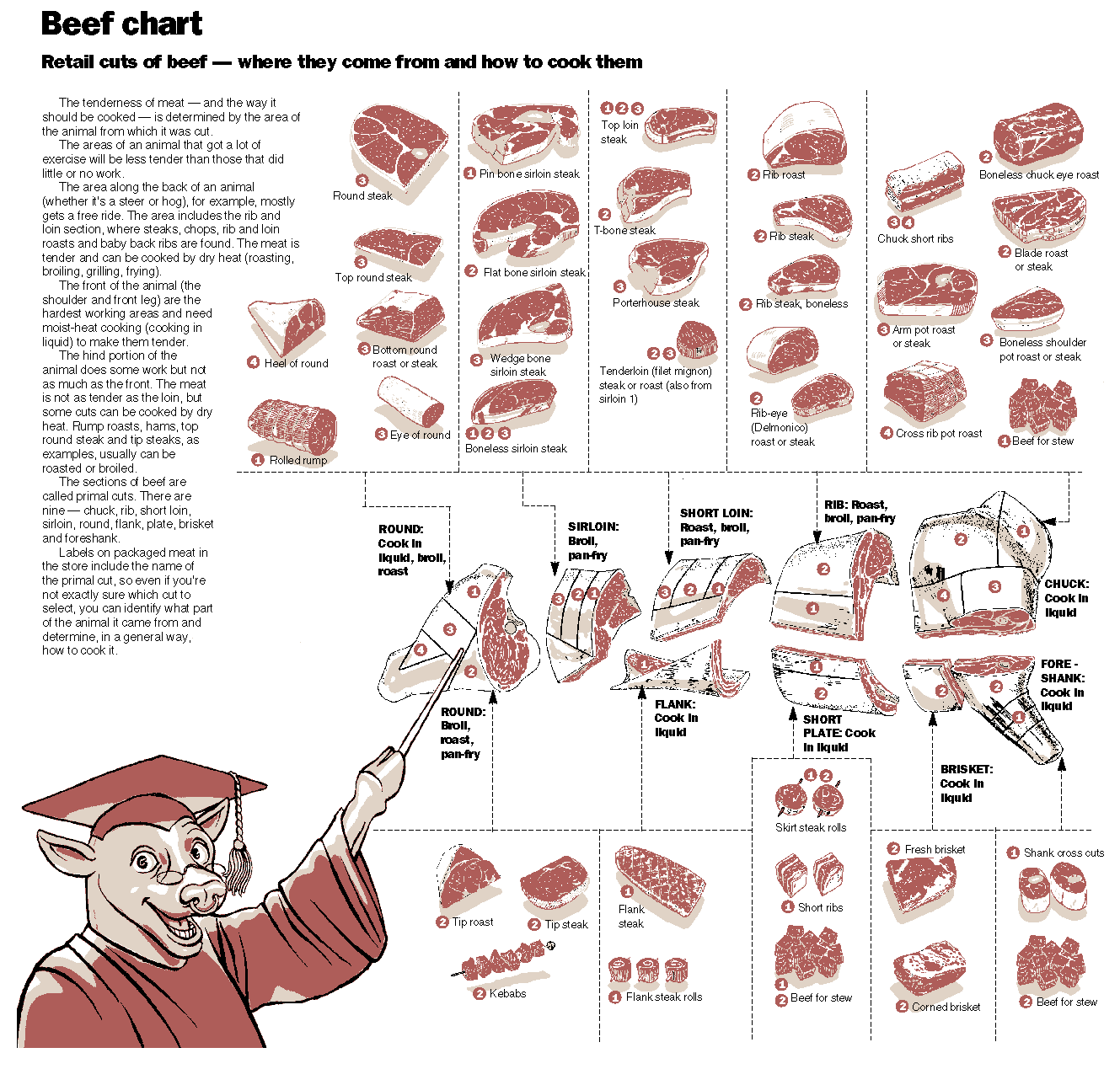 Wholesale Cuts Of Beef Diagram