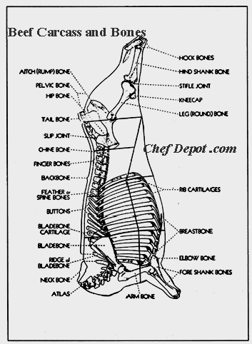 Wholesale Cuts Of Beef Diagram