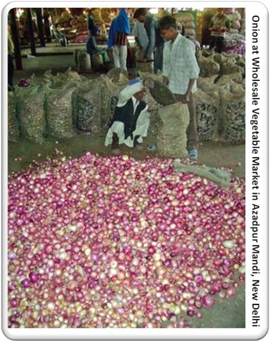 Wholesale Market In Delhi