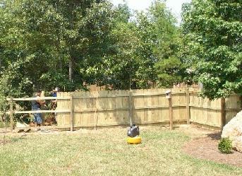 Wood Privacy Fence Designs