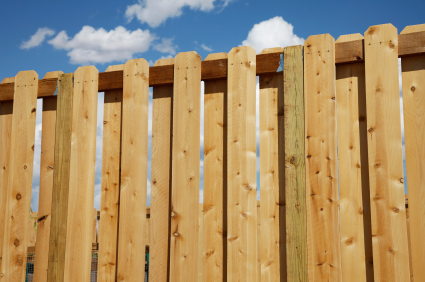 Wood Privacy Fence Pictures