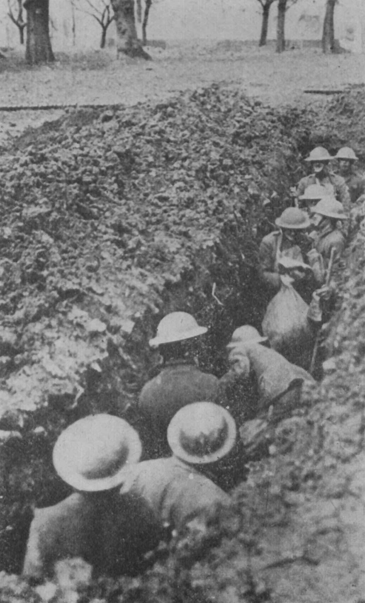 World War 1 Soldiers In Trenches